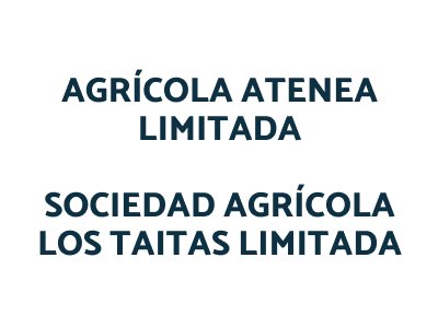 Agrícola Atenea minitada y Sociedad Agrícola Los Taitas limitada